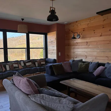 Grand Spacieux A Saintdiedesvosges Terrasse Апартаменты *