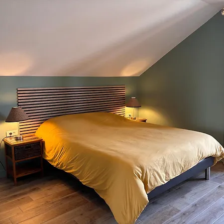 Апартаменты Grand Spacieux A Saintdiedesvosges Terrasse Saint-Die-des-Vosges